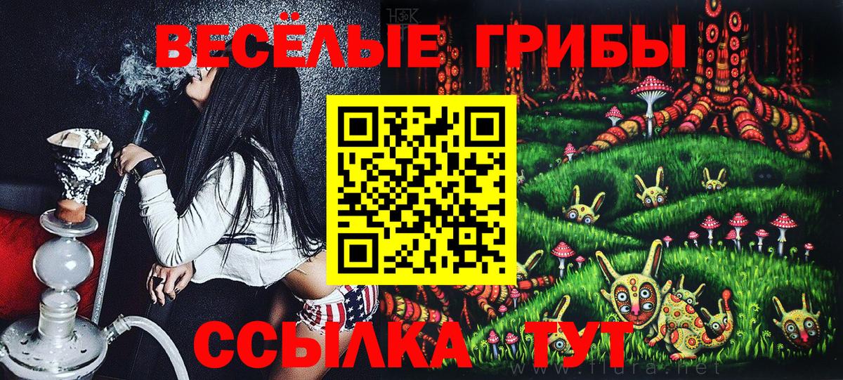 Галлюциногенные грибы мицелий Богданович