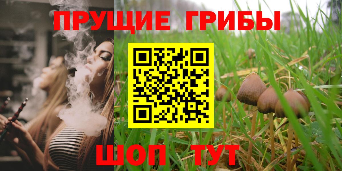 Галлюциногенные грибы мицелий  Вход с VPN  Богданович 